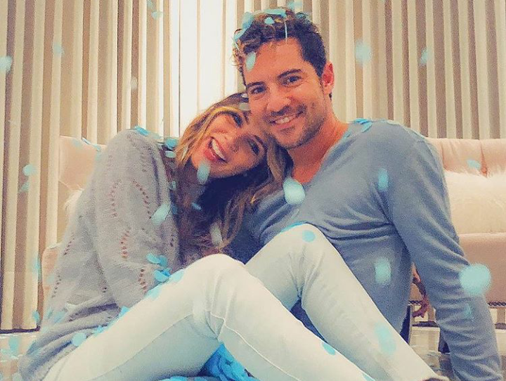 David Bisbal y Rosanna Zanetti son padres